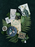 ALOCASIA | Textured Velvet Flat Lay