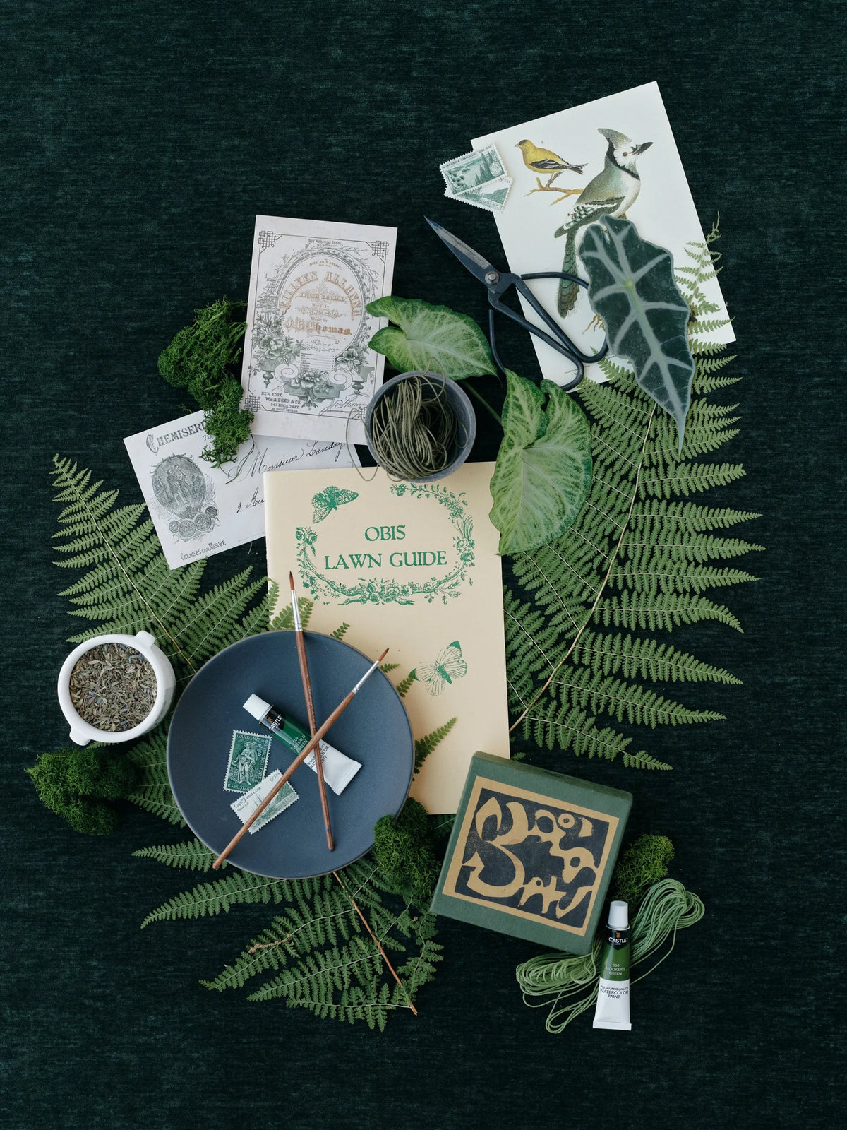 ALOCASIA | Textured Velvet Flat Lay
