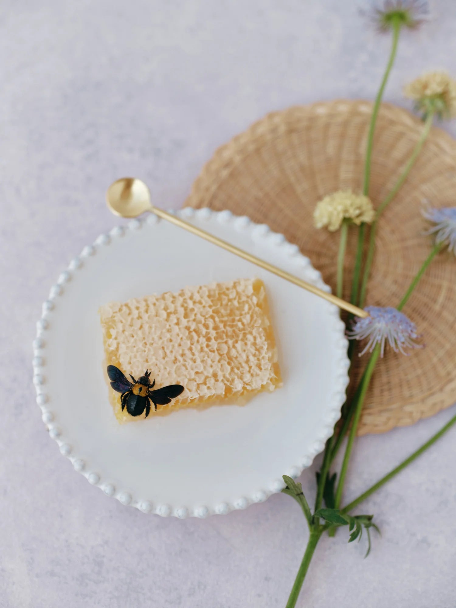 PROVENCE | Hand Painted Flat Lay