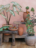 San Miguel | Hand Painted Flat Lay